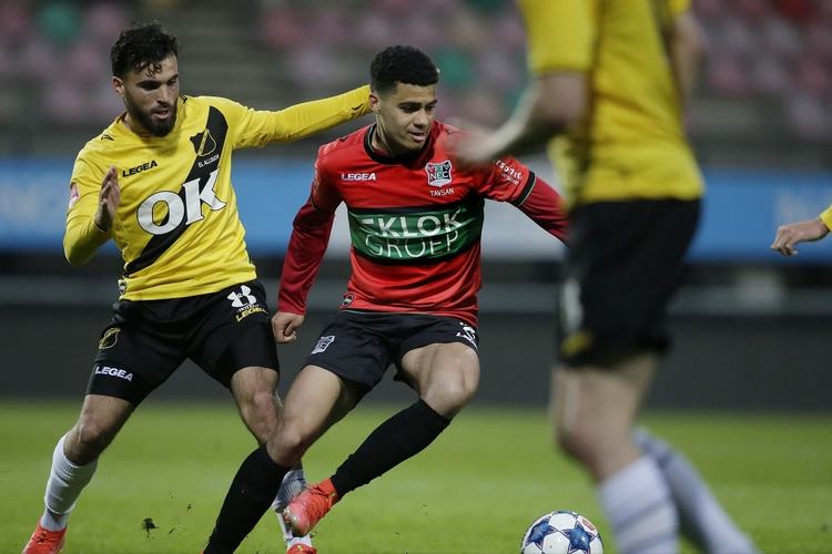 还为明年的 还为明年的